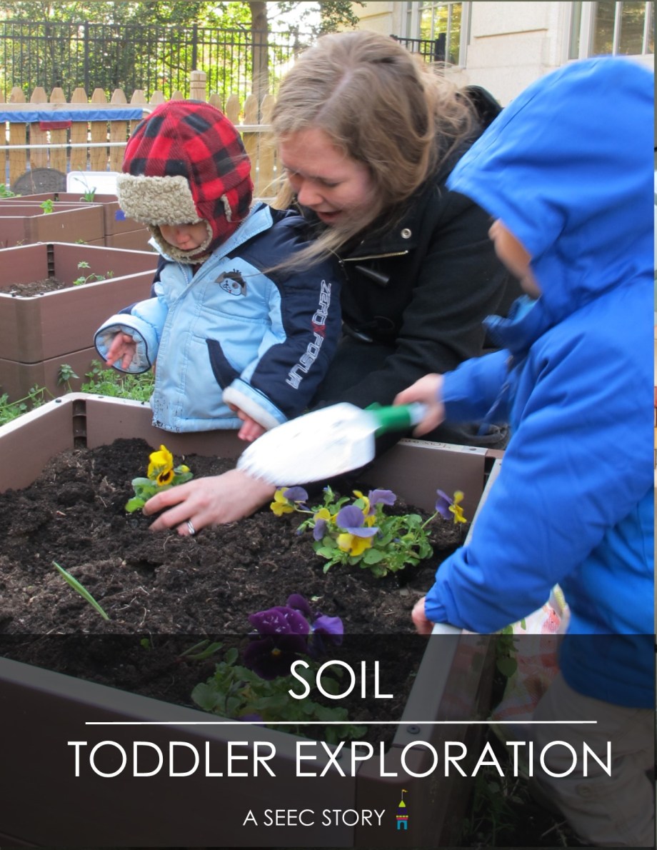 Vertical Cover_toucan.jpg