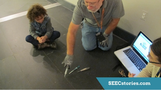 SEECstories.com (7).jpg