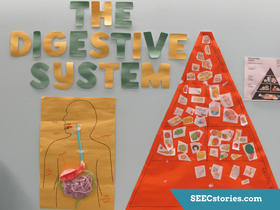 SEECstories.com (7).png