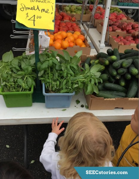 SEECstories.com (18)