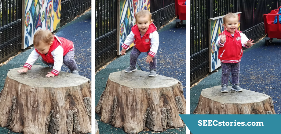 SEECstories.com (22)