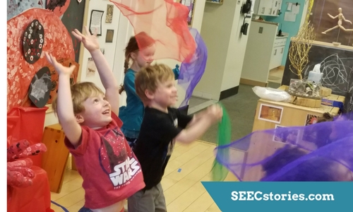 SEECstories.com (23)