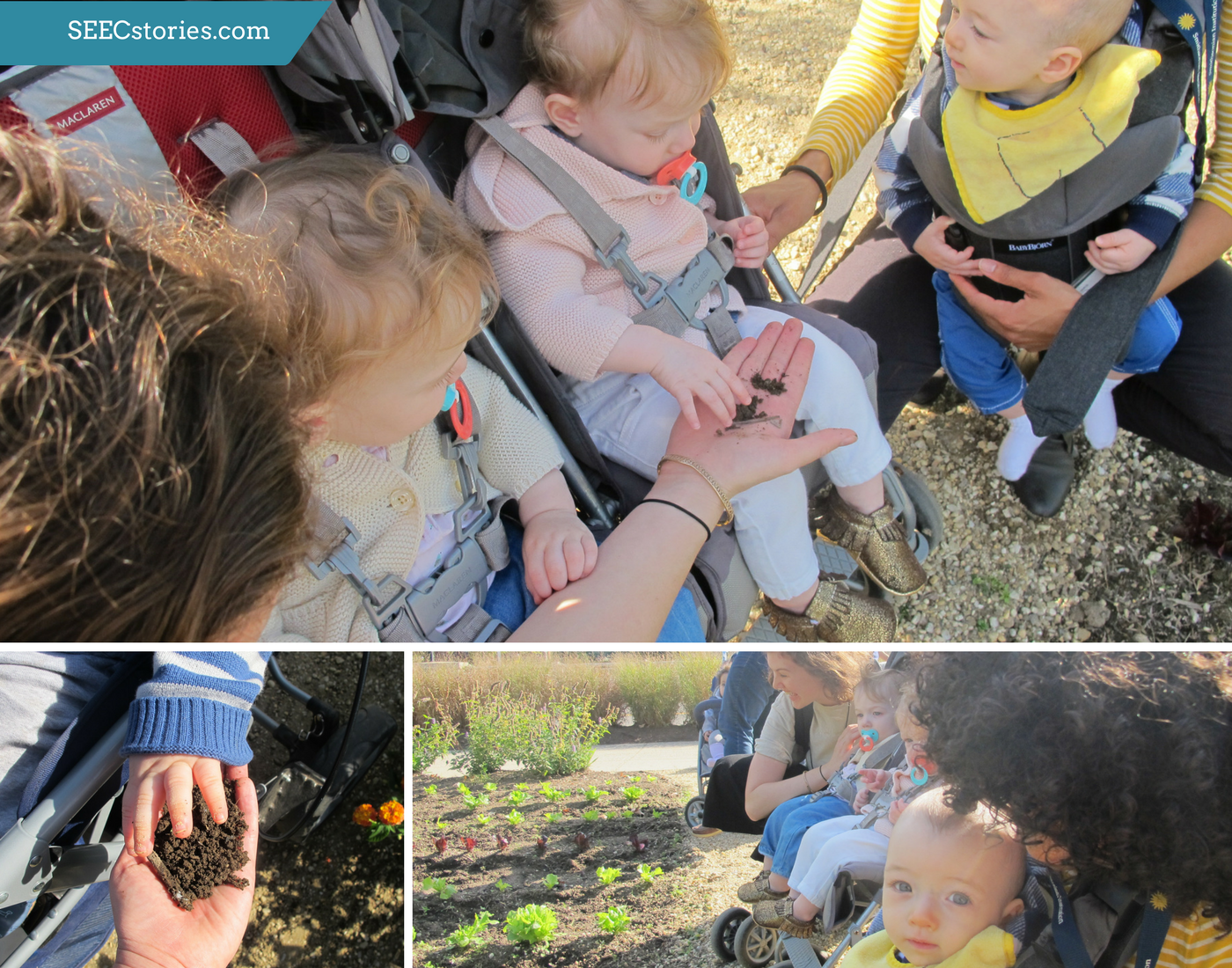 Variety of pictures of children exploring soil on a farm