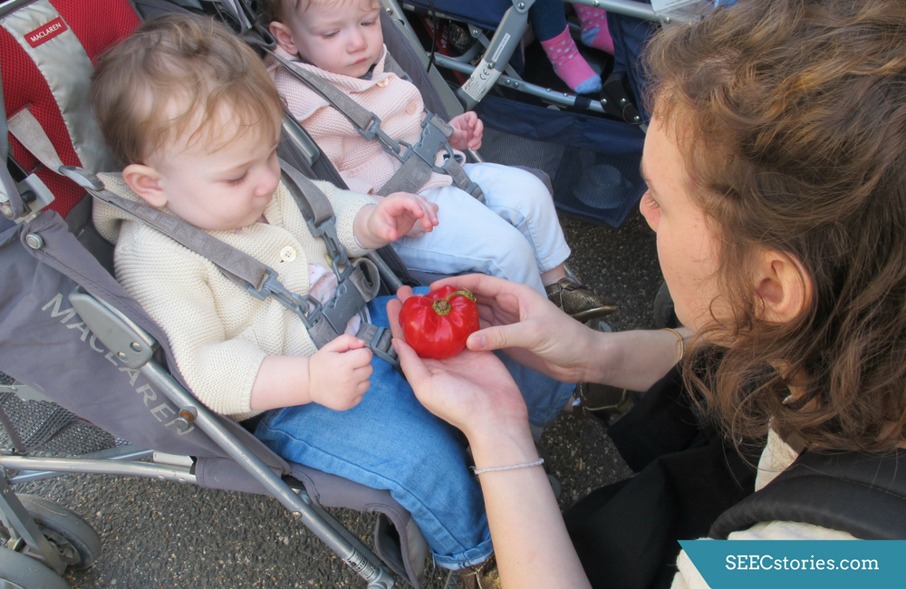 Children in a stroller, with a teacher showing them a tomato
