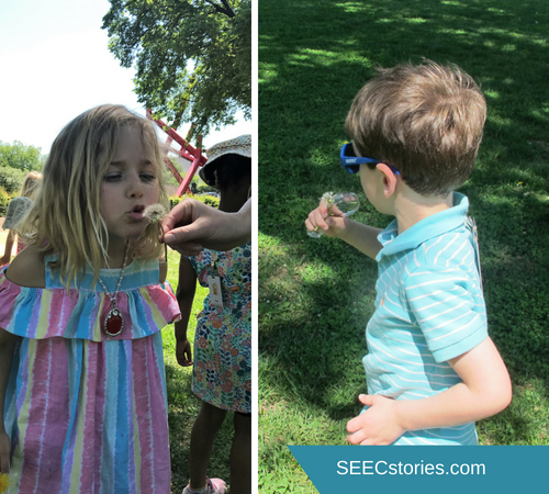 SEECstories.com (16)