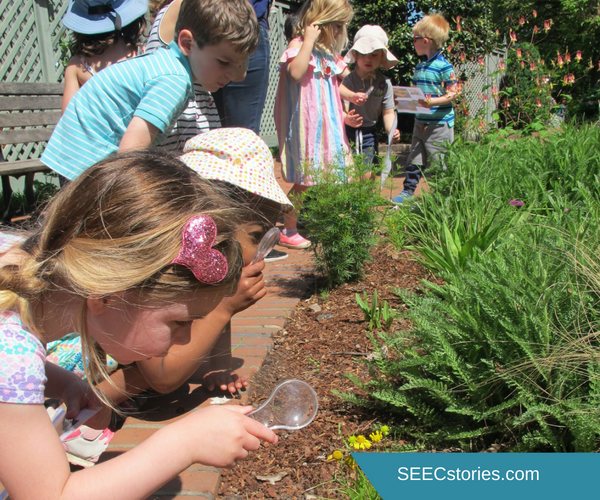teacher feature seed dispersal hunt 1