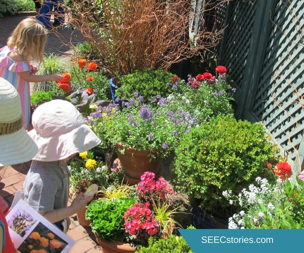 teacher feature seed dispersal hunt 2