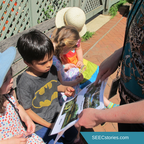 Teacher Feature Seed Dispersal water