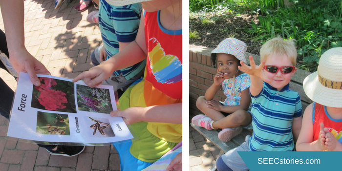 teacher feature seed disposal force