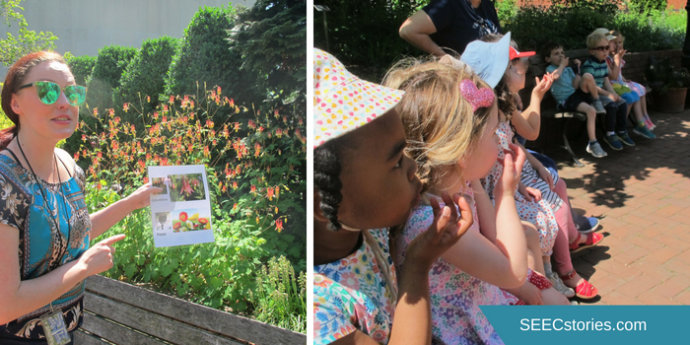 teacher feature seed disposal wind