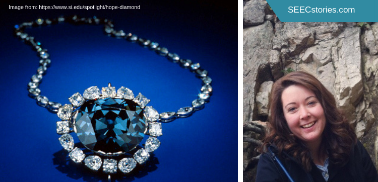 SEECstories.com (40)